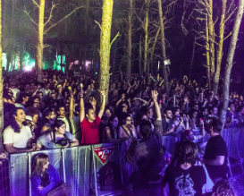 פסטיבל יערות מנשה, פעילויות לכל המשפחה, פעילות עם ילדים